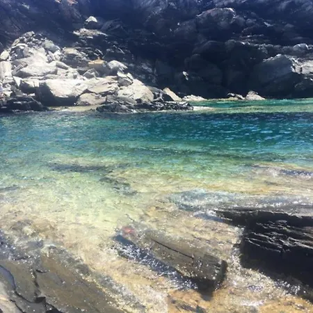Villa Di Design Con Il Tetto Verde Stintino