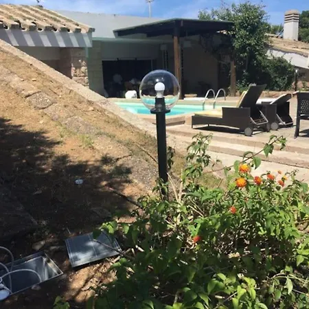 Villa Di Design Con Il Tetto Verde *