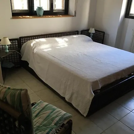 Villa Di Design Con Il Tetto Verde