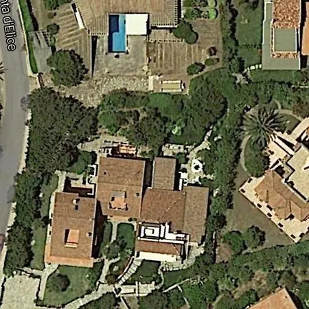 Di Design Con Il Tetto Verde Villa Stintino