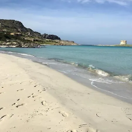 Villa Di Design Con Il Tetto Verde