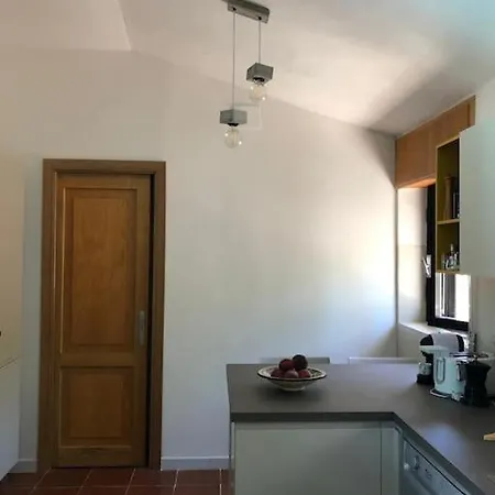 Villa Di Design Con Il Tetto Verde