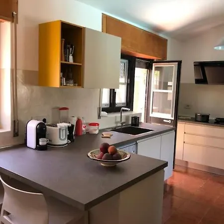 Di Design Con Il Tetto Verde *