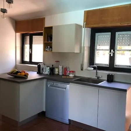 Di Design Con Il Tetto Verde Villa