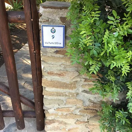 Di Design Con Il Tetto Verde Villa