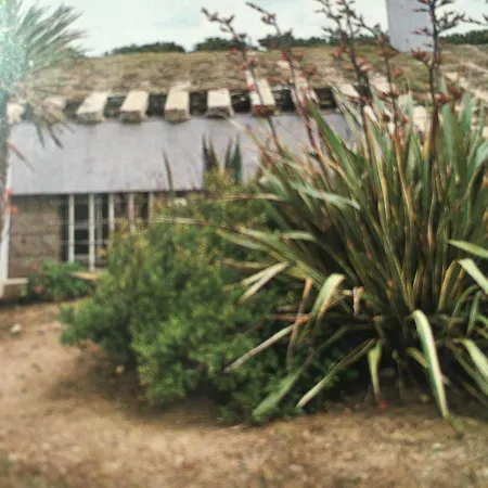 Di Design Con Il Tetto Verde Villa *