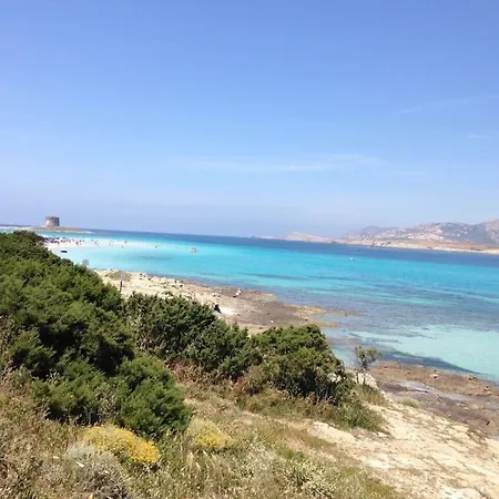 Di Design Con Il Tetto Verde